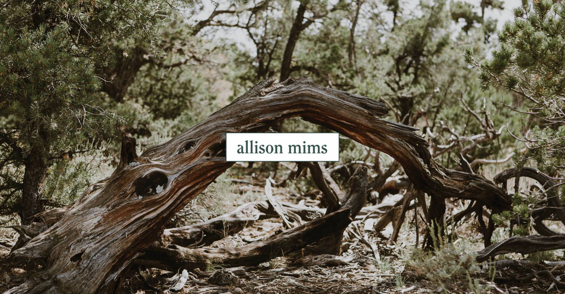 Allison Mims Photography Case Study