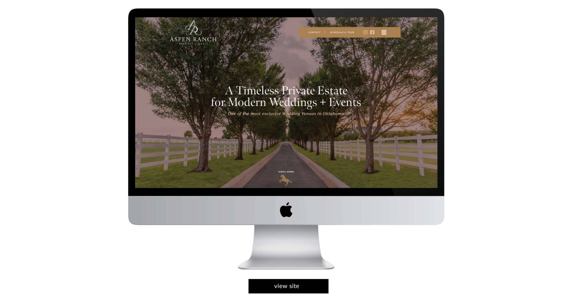 Aspen Ranch Website Design