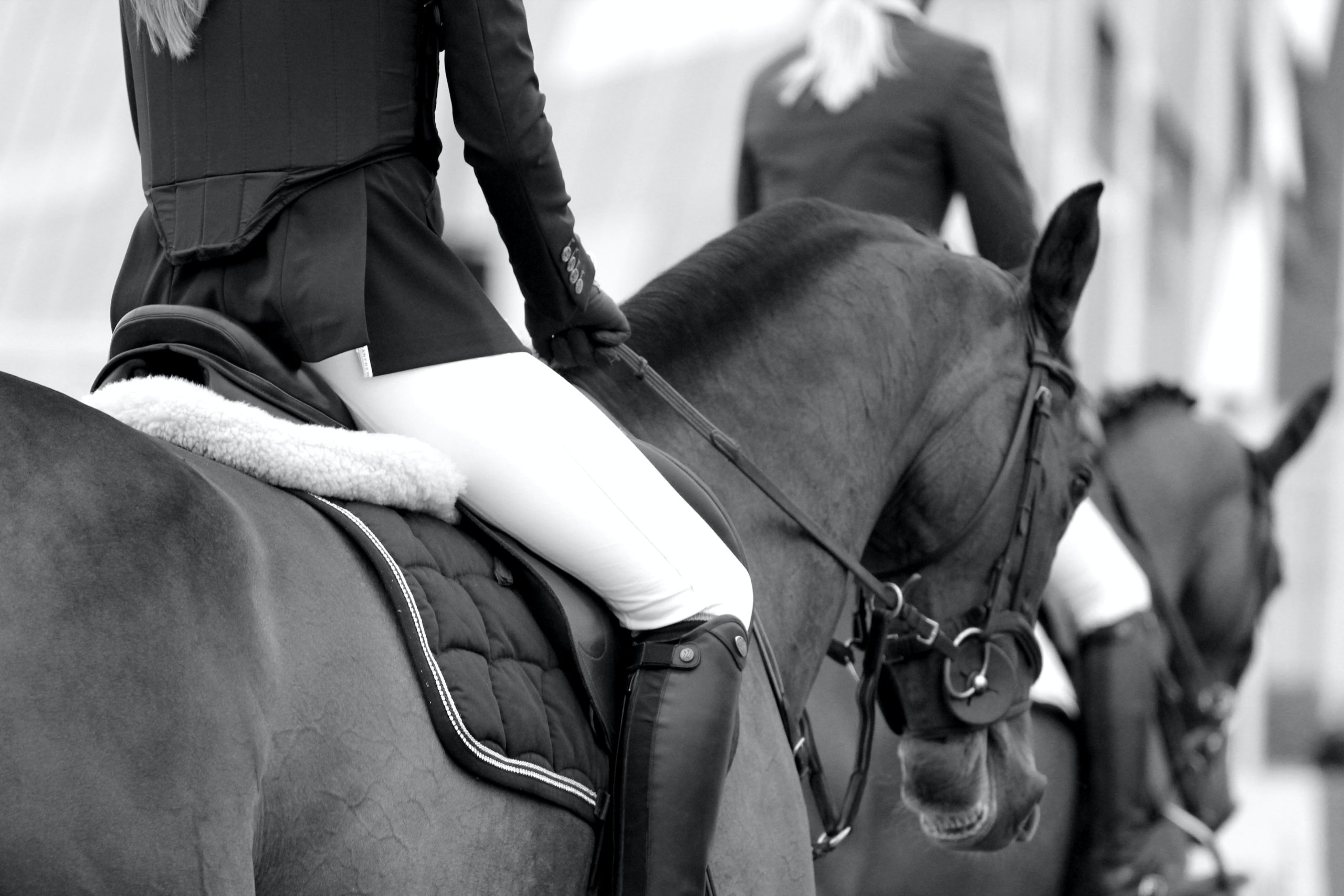 Guide to Equestrian Colleges (and how to secure a scholarship or spot on the team)